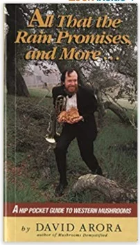 Screenshot 2021-06-17 122318 all that the rain promises mushroom book