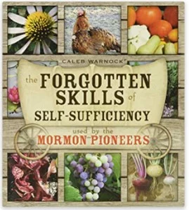 Screenshot 2021-06-17 143351 FOrgotten Skills book