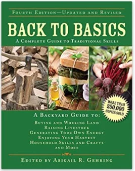 Screenshot 2021-06-17 143524 back to basics book