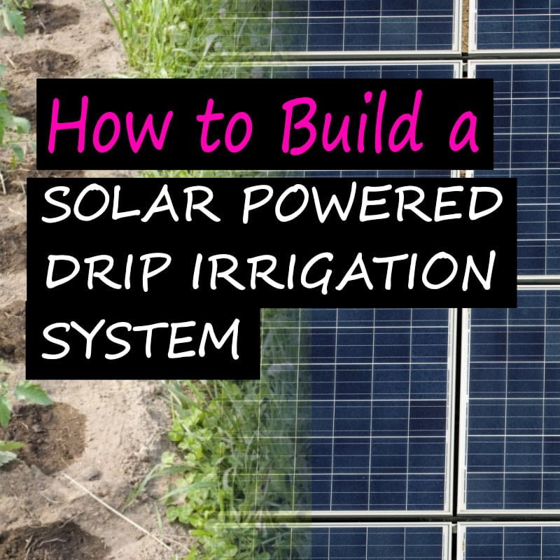 build a solar powered drip irrigation system