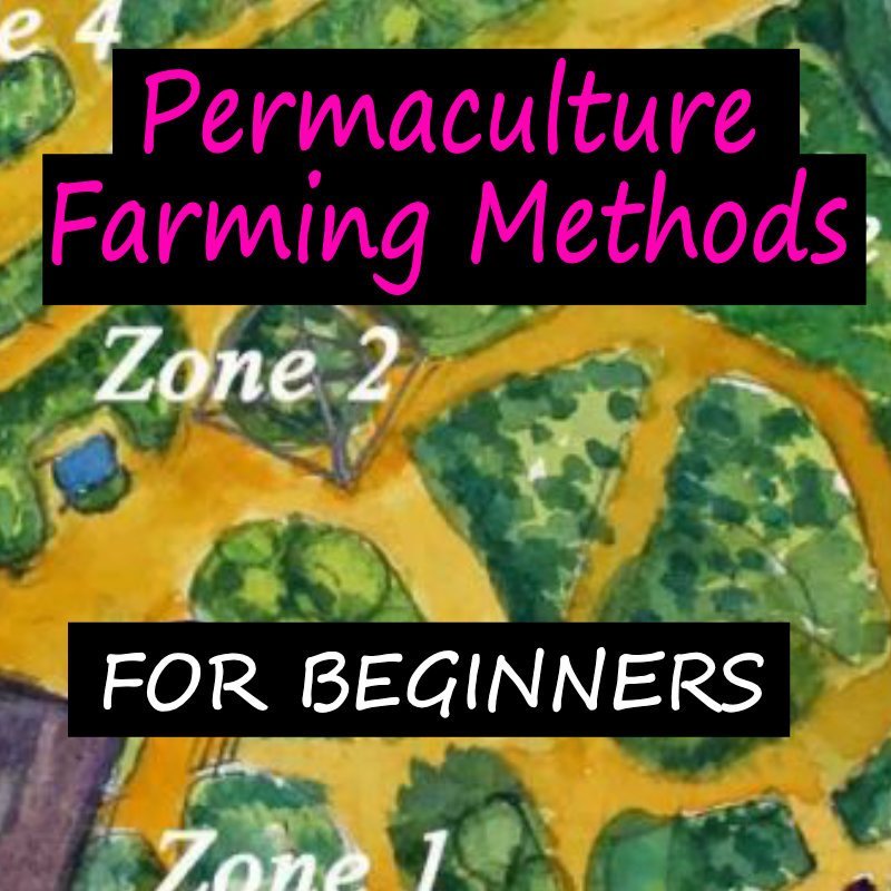 permaculture farming methods