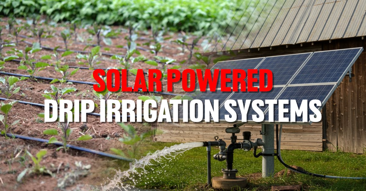 solar powered drip irrigation systems for off grid gardening