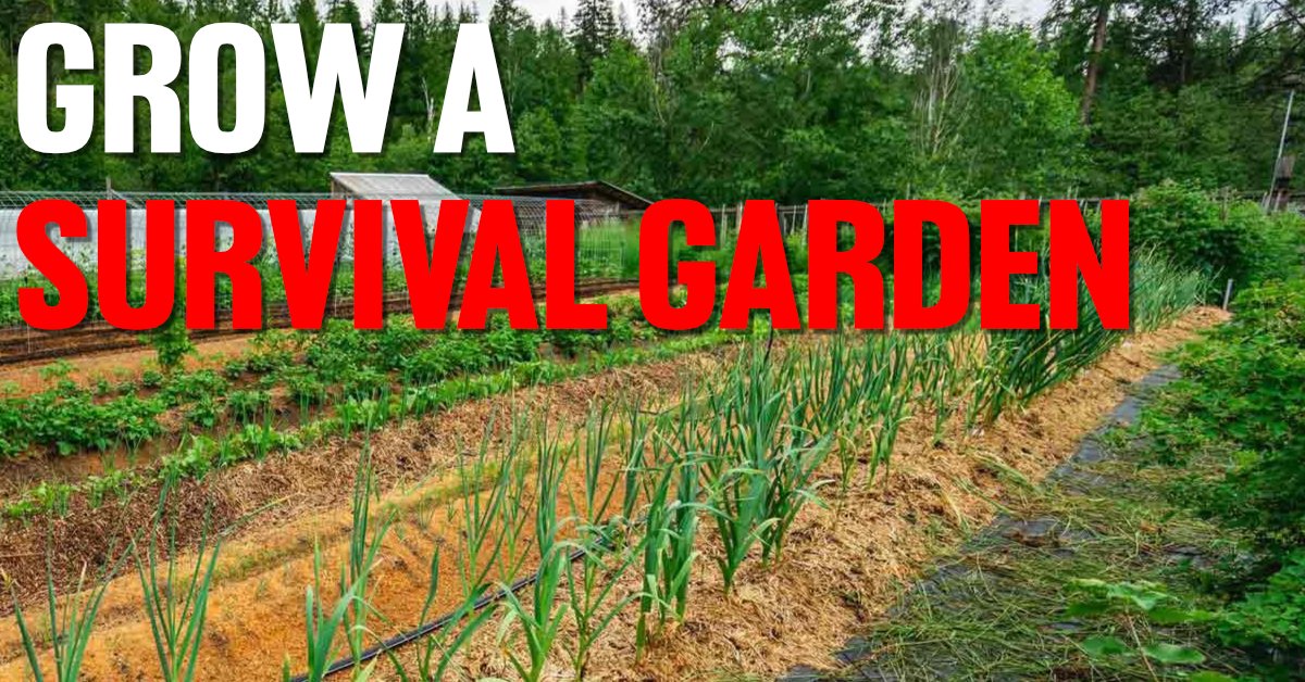 grow a survival garden