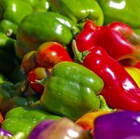 mix of colorful peppers