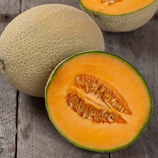 cantaloupe