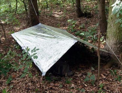 emergency blanket being used as a shelter in the woods