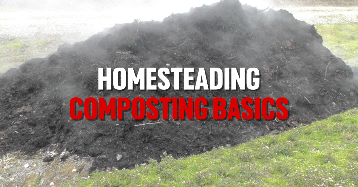 homesteading composting basics