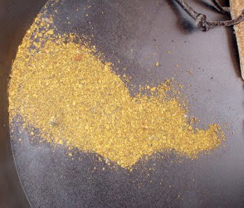 alluvial gold found by panning for gold