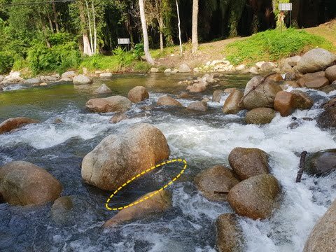 boulders in a stream can have a buildup of gold