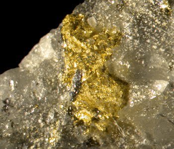 lustrous gold in quartz host rock