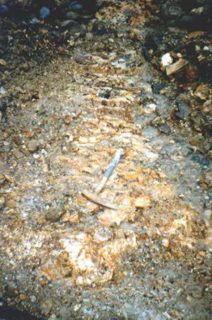 rich gold vein found in Alaska in quartz host rock