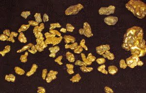 gold nuggets deposited by placer movement