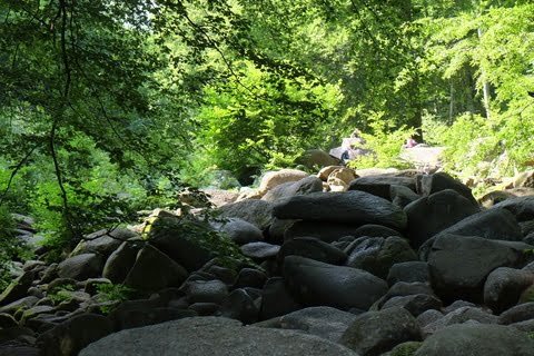 bedrock and boulders indicate ancient riverbed