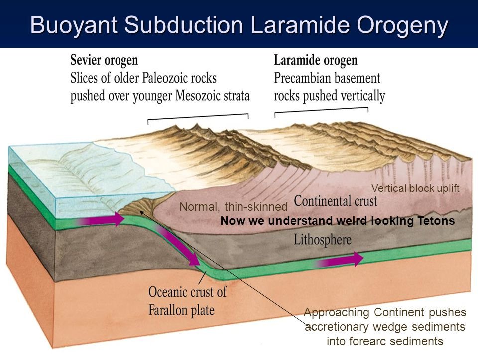laramide oregony causing mountain building and copper mineralization