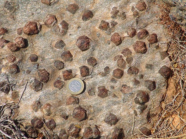 garnet in schist host rock