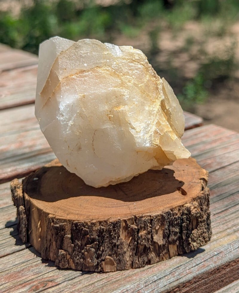 Massive Muggy Quartz Crystal for sale on Mesquite Base found by Regina Cal, Rustic Skills