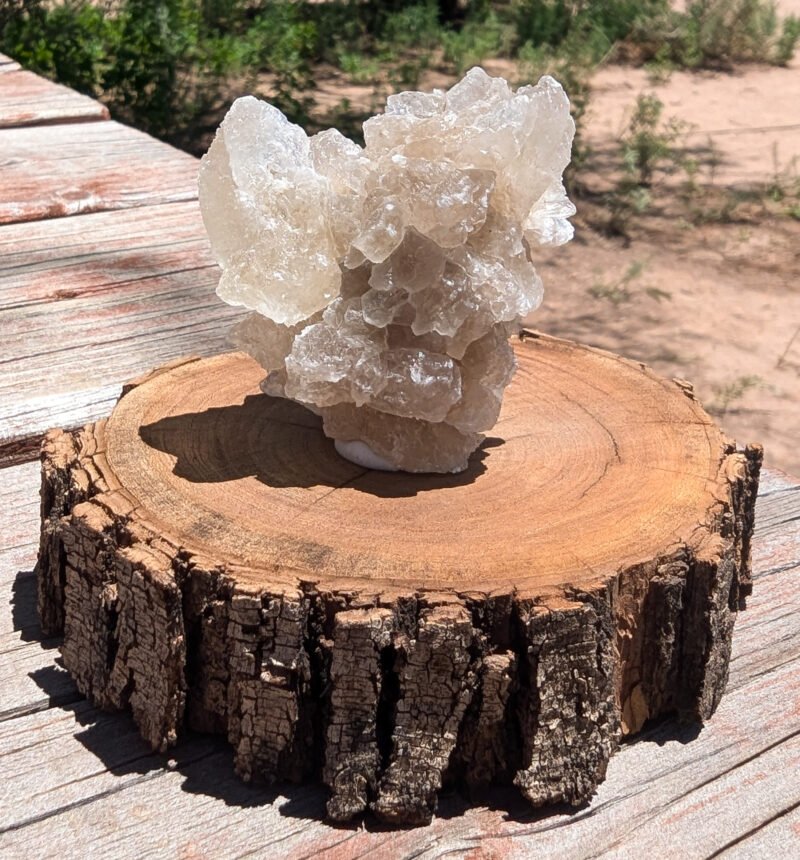 Selenite Crystal Cluster on Mesquite Wood Base for sale and found by Regina Cal, Rustic Skills